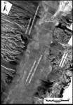 Figure 5.Sidescan-sonar imagery from Gregg Basin.
