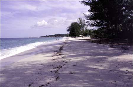 Area where dunes are either absent.