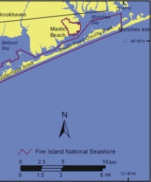 Figure 1. A) Location of Fire Island National Seashore on Long Island in NY. B) Fire Island National Seashore.