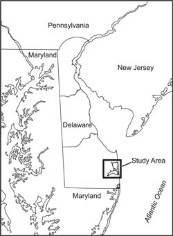 Location of Inland Bays, Delaware. For a more detailed information, contact Lillian Wang at lillian@udel.edu
