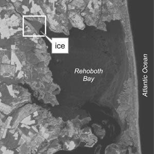 Ice located in the northwestern corner of Rehoboth Bay. 
For a more detailed information, contact Lillian Wang at lillian@udel.edu