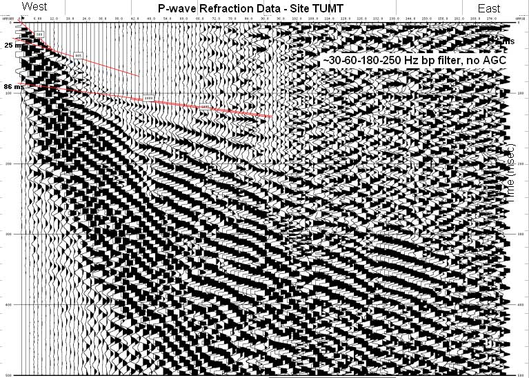 Data plots of P-wave data at site TUMT.