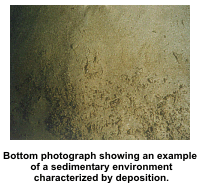 Bottom photograph showing an example of a sedimentary environment characterized by deposition.
