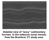Detailed view of "wavy" sedimentary furrows in the sidescan sonar mosaic from the Branford, Connecticut study area.
