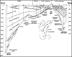 Generalized stratigraphic cross-section along the modern coast line from Florida to North Carolina.