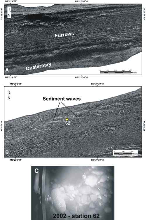 Figure 10.   Sidescan-sonar image showing examples of possible furrows,  and image of sediment waves, in the eastern part of the reservoir, and image taken from the field of sediment waves and shows clean, well-rounded gravel.