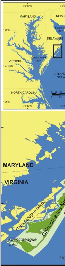Figure 1.  Location of Assateague Island National Seashore in Maryland and Virginia.
