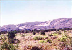 Regional syncline, looking south toward Pico Quemado