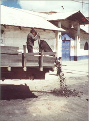 Coal from Mina La Victoria brought to market