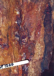Detail of vertical iron oxide stained quartz vein north of Chao