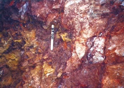 Quartz vein with iron oxide stain at Cerro Aguascalientes mine