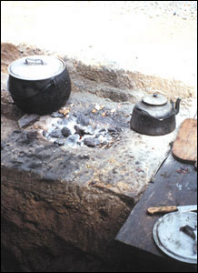 Domestic use of coal from Banos de Chimu