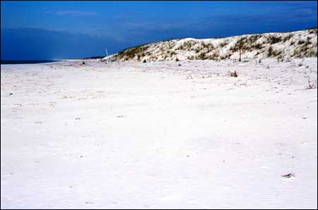 Artificial dune.