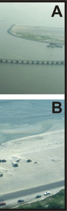 Figure 4.  A) The Bonner Bridge crosses Oregon Inlet and connects Bodie Island to Pea Island National Wildlife Refuge (NWR).  B) Sand dredged from Oregon Inlet is being pumped onto the beach within Pea Island NWR. Pea Island is ranked as a very high vulnerability area.