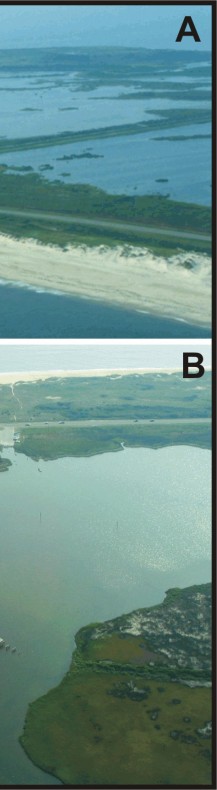 Figure 5. A) Vast wildlife habitat especially for shorebirds on the landward side of Pea Island NWR. B) The bridge that was constructed in the 1940's to bypass a breach that occurred across Pea Island during a hurricane.