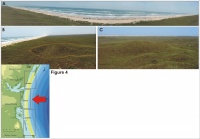 Figure 4.  Central Padre Island National Seashore (high vulnerability). 