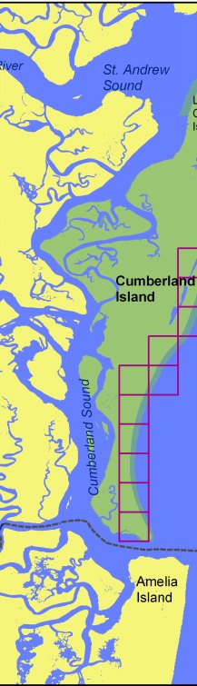 Figure 2. Shoreline grid for Cumberland Island National Seashore.