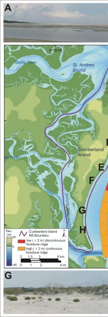 Figure 3. The colorbar indicates geomorphology along the ocean hore of Cumberland Island National Seashore.