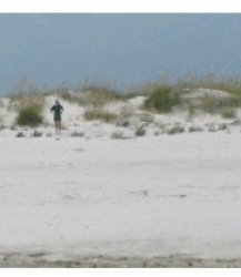 Figure 3H. Although the dunes are lower here than at location C and D they are more stable and continuous.