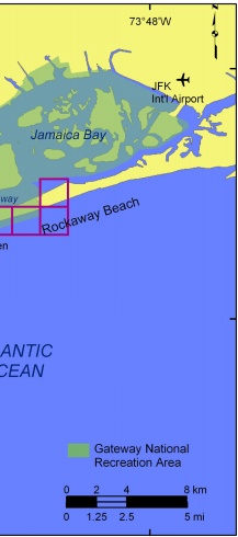 Figure 3.  Shoreline grid for Gateway National Recreation Area.