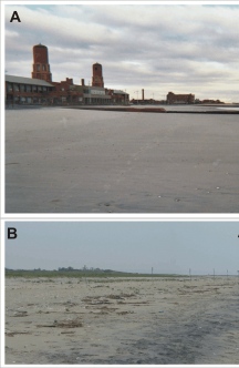 Figure 4. Photos of the very high vulnerability barrier island geomorphology within Breezy Point District and Sandy Hook Unit of Gateway National Recreation Area.