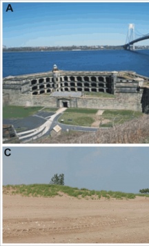 Figure 5. Photos of the different geomorphology types within the Staten Island Unit of Gateway NRA.