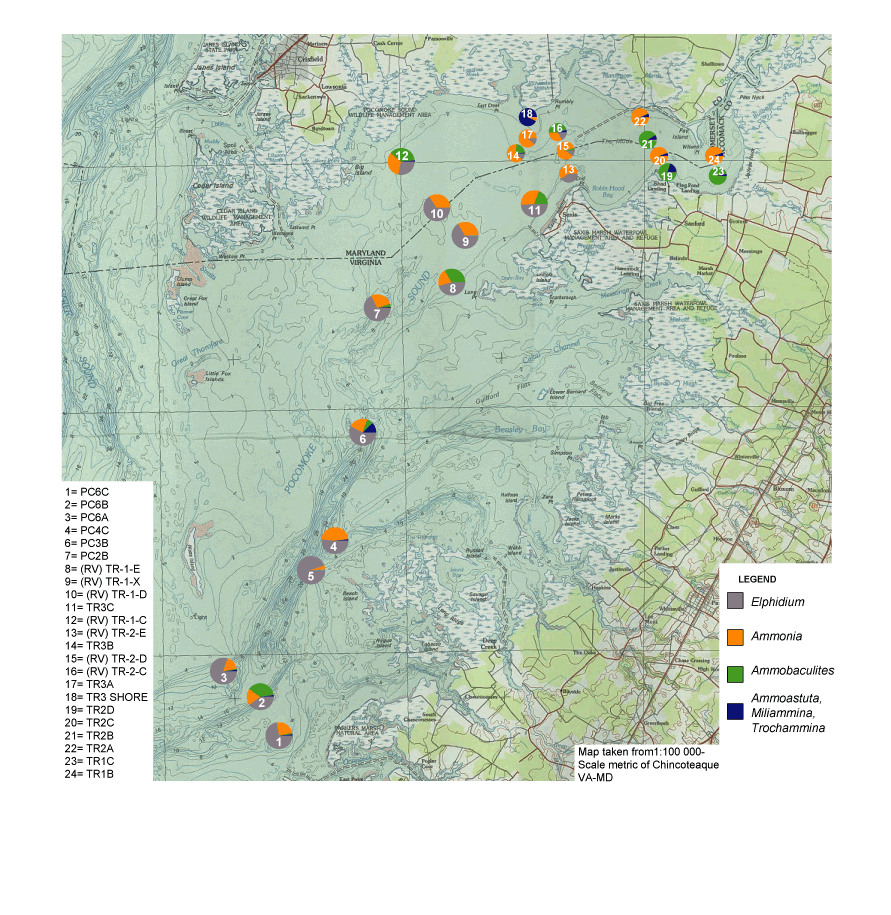 USGS OFR 04-1350 Figure 3.4