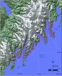 Figure 5. Shoreline grid for Kenai Fjords National Park. 