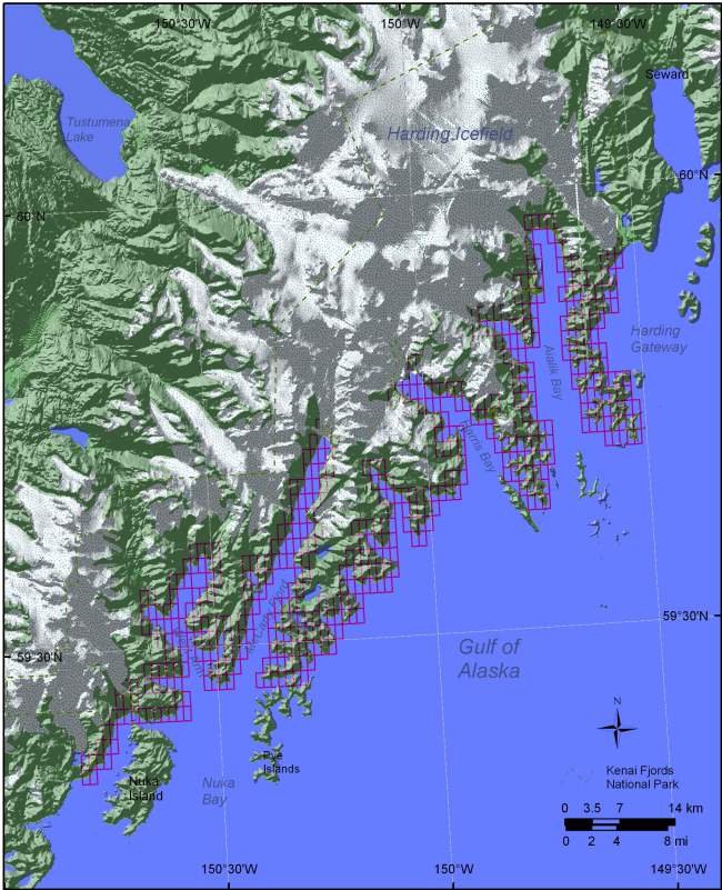Figure 5. Shoreline grid for Kenai Fjords National Park.