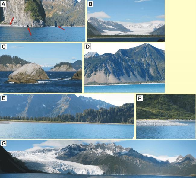 Figure 6. Seven ground photographs of representative coastal landforms within Kenai Fjords National Park.