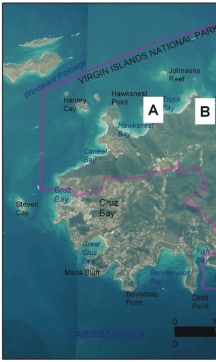 Figure 5.     Photos of different geomorphology types within Virgin Islands National Park. 