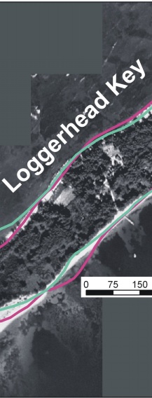 Figure 4a. Historic shoreline change for Loggerhead Key.