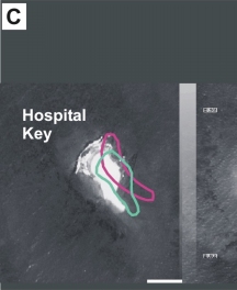 Figure 4c. Historic shoreline change for Hospital Key, Middle Key, and East Key 