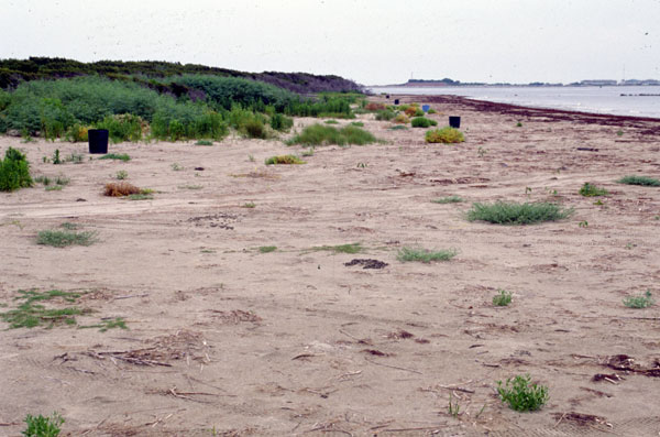 Narrow natural beach.