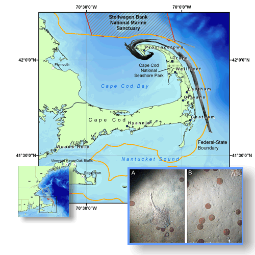 Image showing location maps with backscatter mosaics visible and example of bottom photographs.