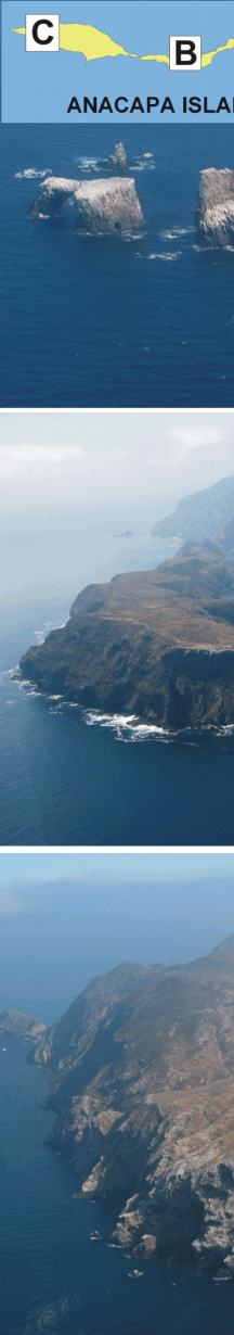 Figure 4.  Photos of geomorphologic features on Anacapa Island within Channel Islands NP. 