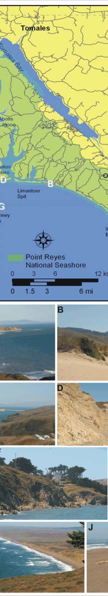 Figure 5.   Geomorphologic environments of Point Reyes National Seashore.