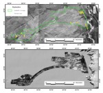 A thumbnail of figure 2 showing SeaMARC sidescan data.