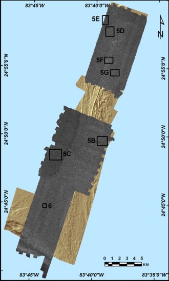 Figure 4 - sidescan sonar imagery