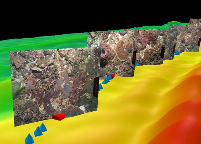 Figure 9 - northern area vertical images