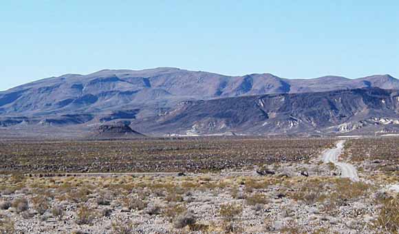 Cover photo of the Greenwater Range.  View is to the west from Ash Meadows.