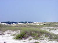 Photo of high continuous dunes.