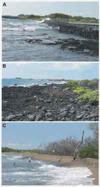 Figure 4. Photos of different geomorphologic settings within Kaloko-Honokohau National Historical Park.