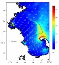 Figure 4.5.  Surface M2 tidal current ellipses, calculated using Regional Ocean Model (ROMs) and forced by the tidal currents along the boundary. 