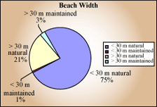 Beach width pie chart - greater than 30 meters maintained 3%; greater than 30 meters natural 21%, less than 30 maintained 1%, less than 30 meters natural 75%