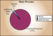Dune Presence pie chart - absent 2%, overwash terrace 97%, artificial dune 1%