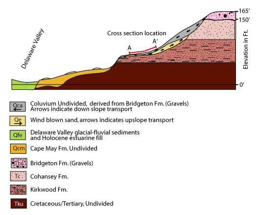 Figure 2. Schematic cross-section showing the source and environment of deposition of cold climate surficial deposits on upland slopes bounding the Delaware Valley in Camden County, NJ.
