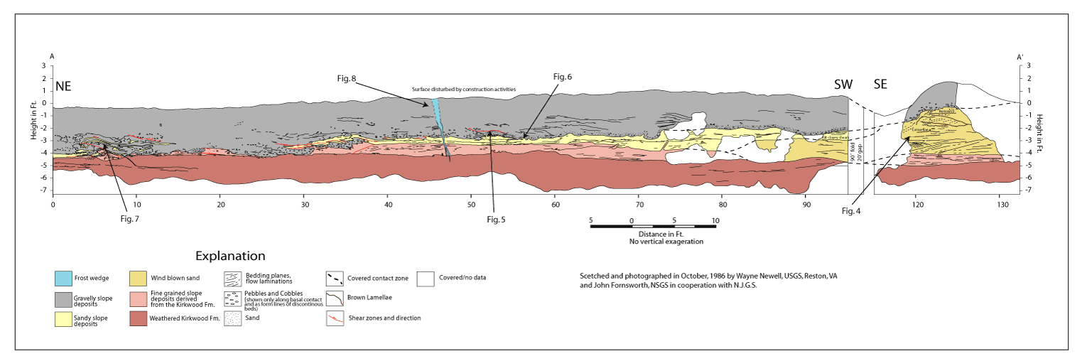 Figure 3. Profile of an Excavated High wall (1986) at a Building Site at Haines Corner Near Hutton Hill, Camden County, New Jersey.