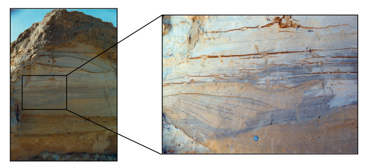 Figure 4. Detail of convex upward bedforms in sand dune on southwest end of profile.
