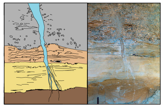 Figure 8. Photo and sketch of a small frost wedge cutting from the surface completely through the sequence of surficial deposits into the weathered Kirkwood substrate.